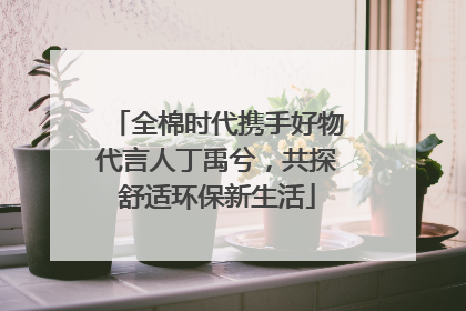 全棉时代携手好物代言人丁禹兮，共探舒适环保新生活