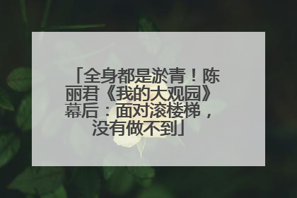 全身都是淤青！陈丽君《我的大观园》幕后：面对滚楼梯，没有做不到