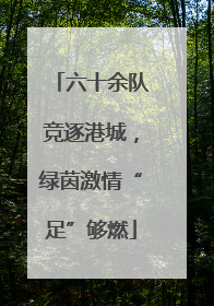 六十余队竞逐港城，绿茵激情“足”够燃