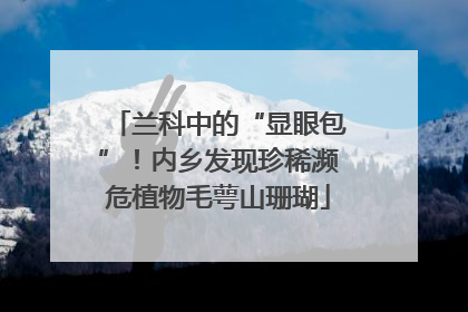 兰科中的“显眼包”！内乡发现珍稀濒危植物毛萼山珊瑚