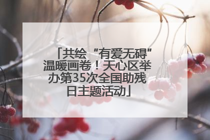 共绘“有爱无碍”温暖画卷！天心区举办第35次全国助残日主题活动