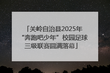 关岭自治县2025年“奔跑吧少年”校园足球三级联赛圆满落幕