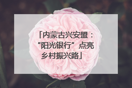 内蒙古兴安盟：“阳光银行”点亮乡村振兴路
