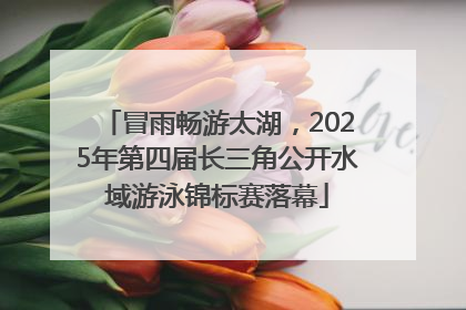 冒雨畅游太湖，2025年第四届长三角公开水域游泳锦标赛落幕