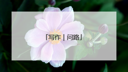 写作｜问路