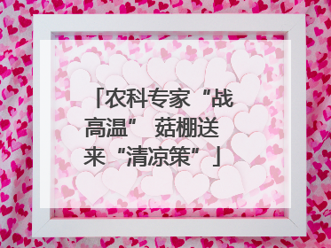 农科专家“战高温” 菇棚送来“清凉策”
