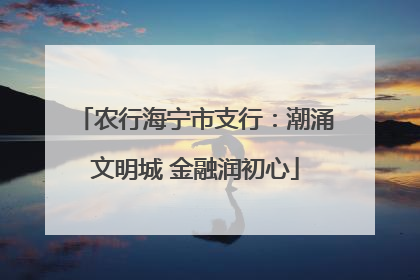 农行海宁市支行：潮涌文明城 金融润初心