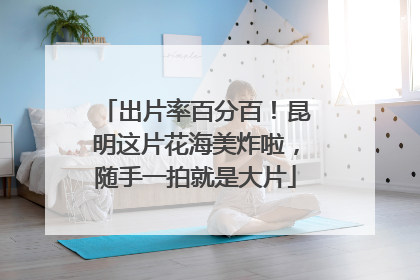 出片率百分百！昆明这片花海美炸啦，随手一拍就是大片