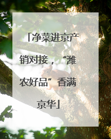 净菜进京产销对接，“潍农好品”香满京华