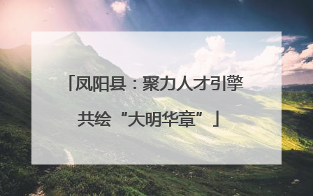 凤阳县：聚力人才引擎 共绘“大明华章”