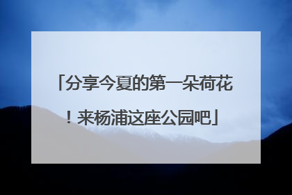 分享今夏的第一朵荷花！来杨浦这座公园吧