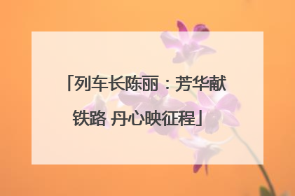 列车长陈丽：芳华献铁路 丹心映征程