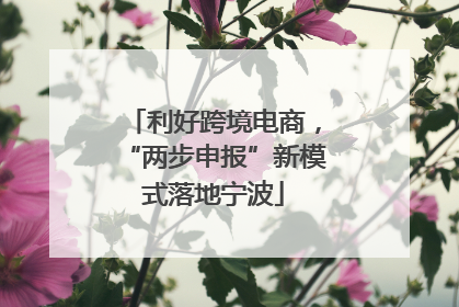 利好跨境电商，“两步申报”新模式落地宁波