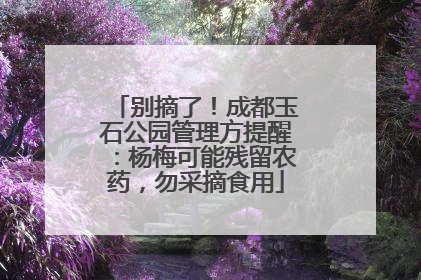 别摘了！成都玉石公园管理方提醒：杨梅可能残留农药，勿采摘食用