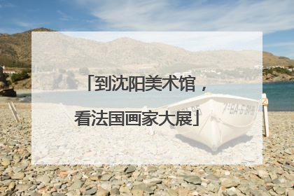 到沈阳美术馆，看法国画家大展