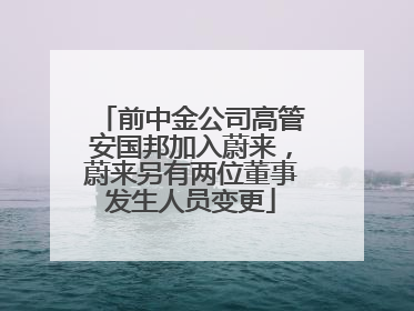 前中金公司高管安国邦加入蔚来，蔚来另有两位董事发生人员变更