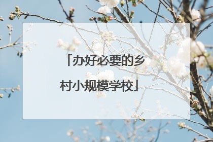 办好必要的乡村小规模学校