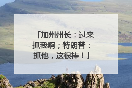 加州州长：过来抓我啊；特朗普：抓他，这很棒！