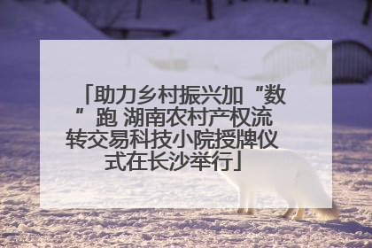助力乡村振兴加“数”跑 湖南农村产权流转交易科技小院授牌仪式在长沙举行