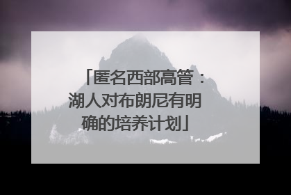 匿名西部高管：湖人对布朗尼有明确的培养计划