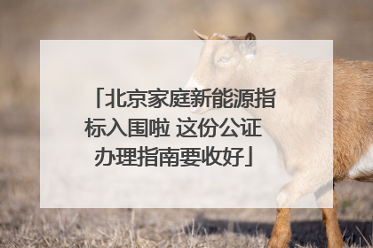 北京家庭新能源指标入围啦 这份公证办理指南要收好