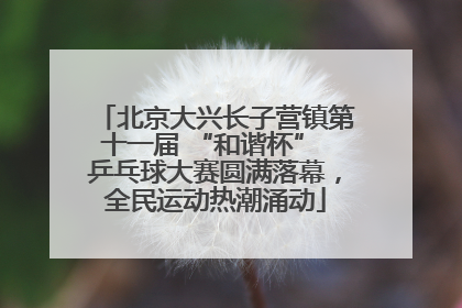 北京大兴长子营镇第十一届 “和谐杯” 乒乓球大赛圆满落幕，全民运动热潮涌动