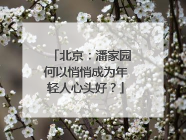 北京：潘家园何以悄悄成为年轻人心头好？