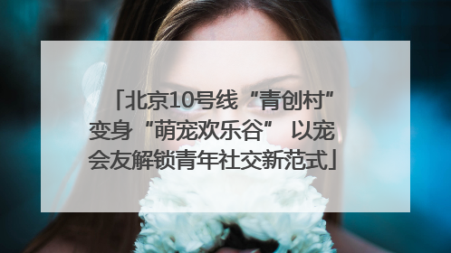 北京10号线“青创村”变身“萌宠欢乐谷” 以宠会友解锁青年社交新范式