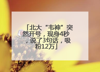 北大“韦神”突然开号，现身4秒，说了3句话，吸粉12万