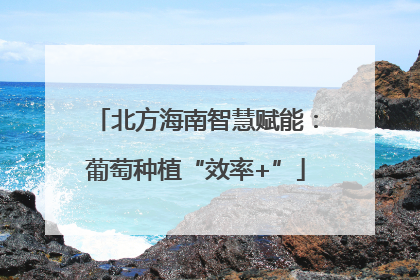 北方海南智慧赋能：葡萄种植“效率+”