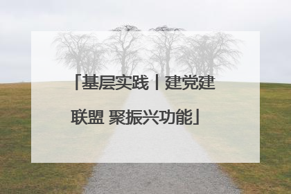基层实践丨建党建联盟 聚振兴功能