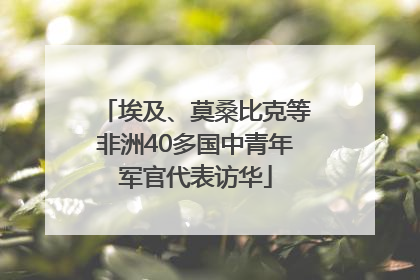 埃及、莫桑比克等非洲40多国中青年军官代表访华