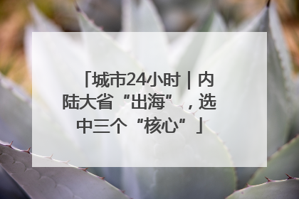 城市24小时｜内陆大省“出海”，选中三个“核心”