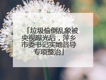 垃圾偷倒乱象被央视曝光后，萍乡市委书记实地督导专项整治