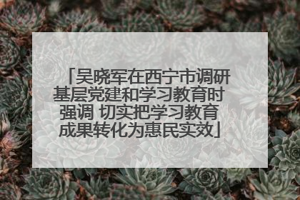 吴晓军在西宁市调研基层党建和学习教育时强调 切实把学习教育成果转化为惠民实效