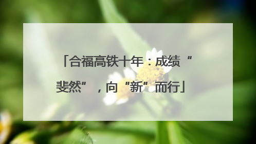 合福高铁十年：成绩“斐然”，向“新”而行