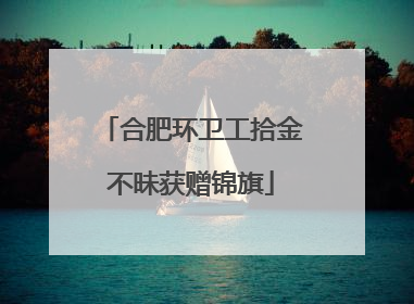 合肥环卫工拾金不昧获赠锦旗