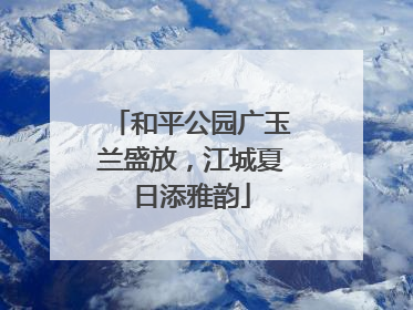 和平公园广玉兰盛放，江城夏日添雅韵