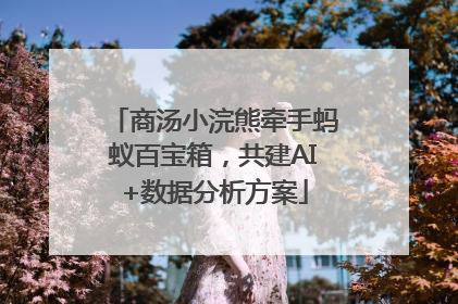 商汤小浣熊牵手蚂蚁百宝箱，共建AI+数据分析方案