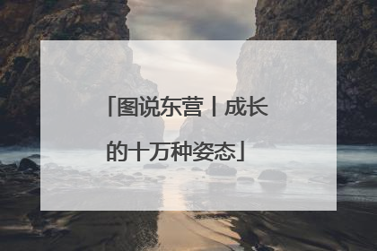 图说东营丨成长的十万种姿态
