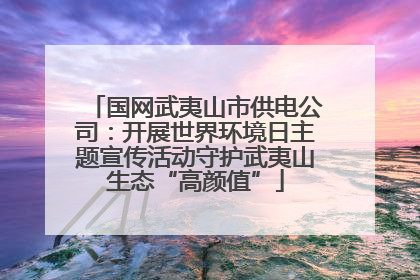 国网武夷山市供电公司：开展世界环境日主题宣传活动守护武夷山生态“高颜值”