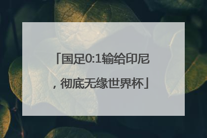 国足0:1输给印尼，彻底无缘世界杯
