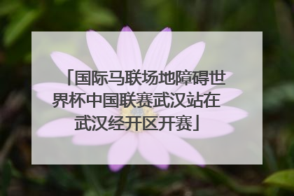 国际马联场地障碍世界杯中国联赛武汉站在武汉经开区开赛