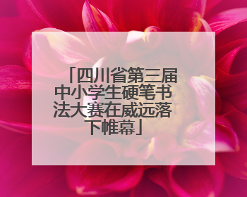 四川省第三届中小学生硬笔书法大赛在威远落下帷幕