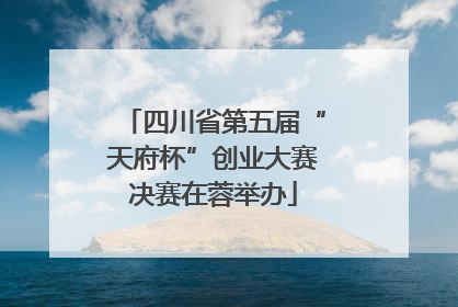 四川省第五届“天府杯”创业大赛决赛在蓉举办