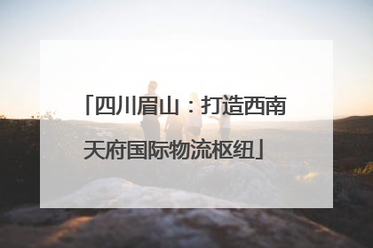 四川眉山：打造西南天府国际物流枢纽