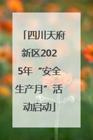 四川天府新区2025年“安全生产月”活动启动