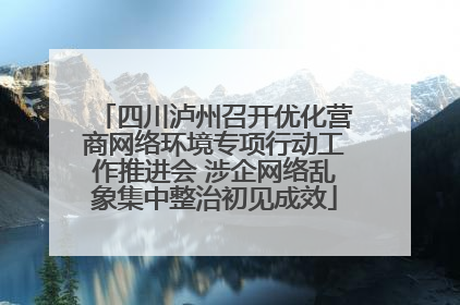 四川泸州召开优化营商网络环境专项行动工作推进会 涉企网络乱象集中整治初见成效