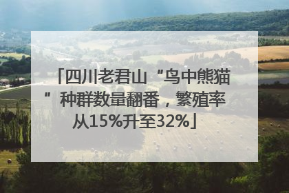 四川老君山“鸟中熊猫”种群数量翻番，繁殖率从15%升至32%