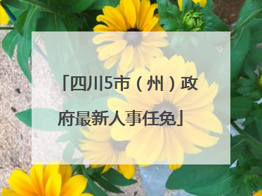 四川5市（州）政府最新人事任免